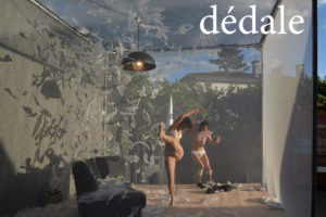 Dédale